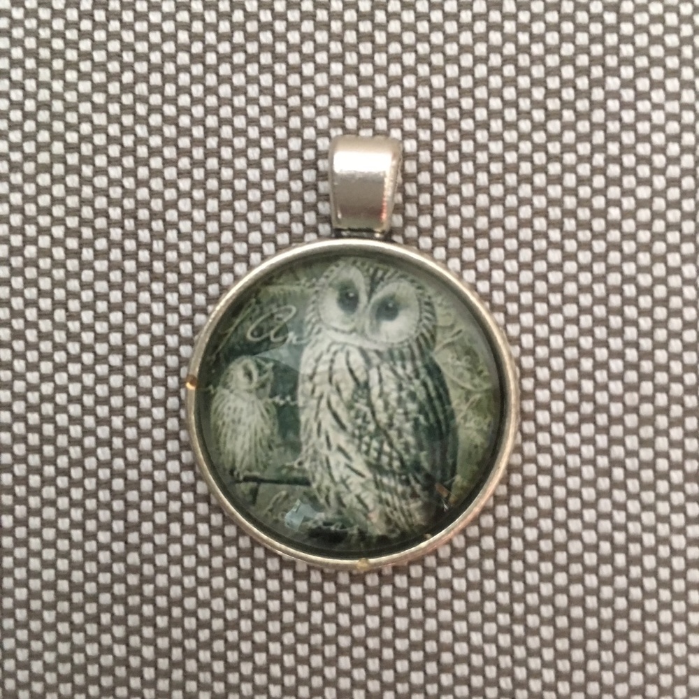 Owl Cabochon Glass Pendant Silver Tone